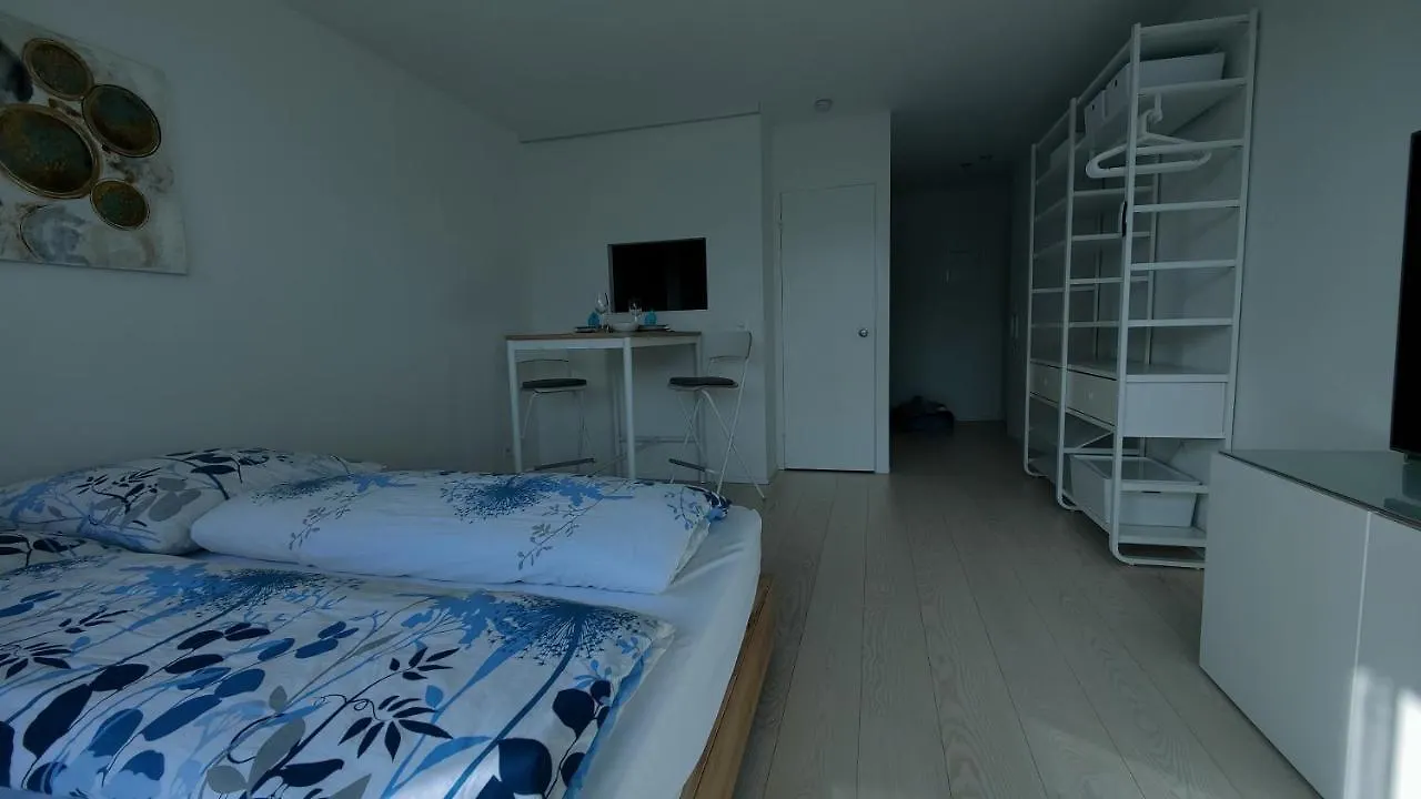 The Ultimate Studio Rhine View Appartamento Basilea